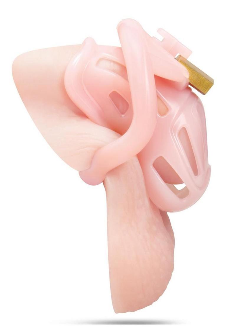 Blueline Degrading Bitch Boy Mini Cock Sissy Boy Chastity Cage