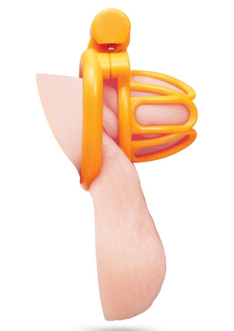 Blueline Fenced-In Inmate Mini Cock Chastity Cage