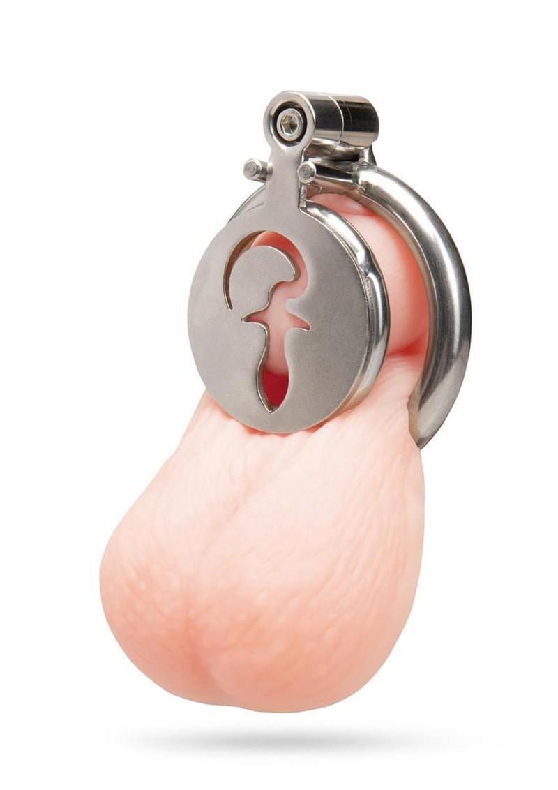 Blueline Stainless Steel Flat Inverted Cage with Piggy Tail Butt Plug Icon - Silver