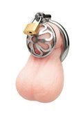Blueline Stainless Turtle Head Chastity Cage - Silver
