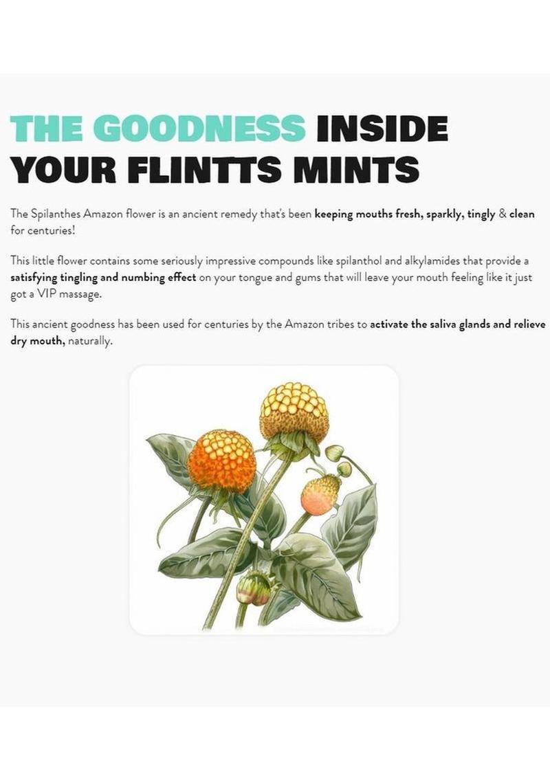 Flintts Mints Mouth Watering Oral Delights - Lemon