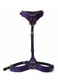 Punishment Body Harness - Silver