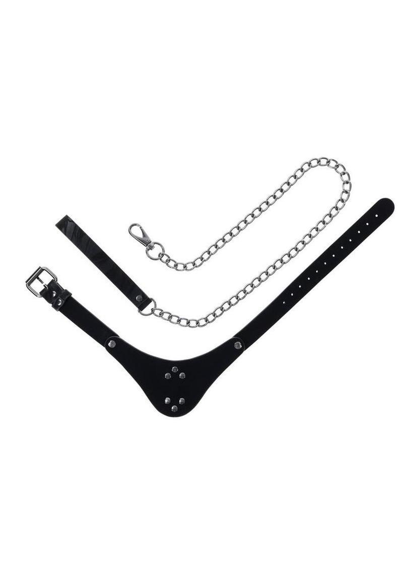 Velvet Noir Collar and Leash